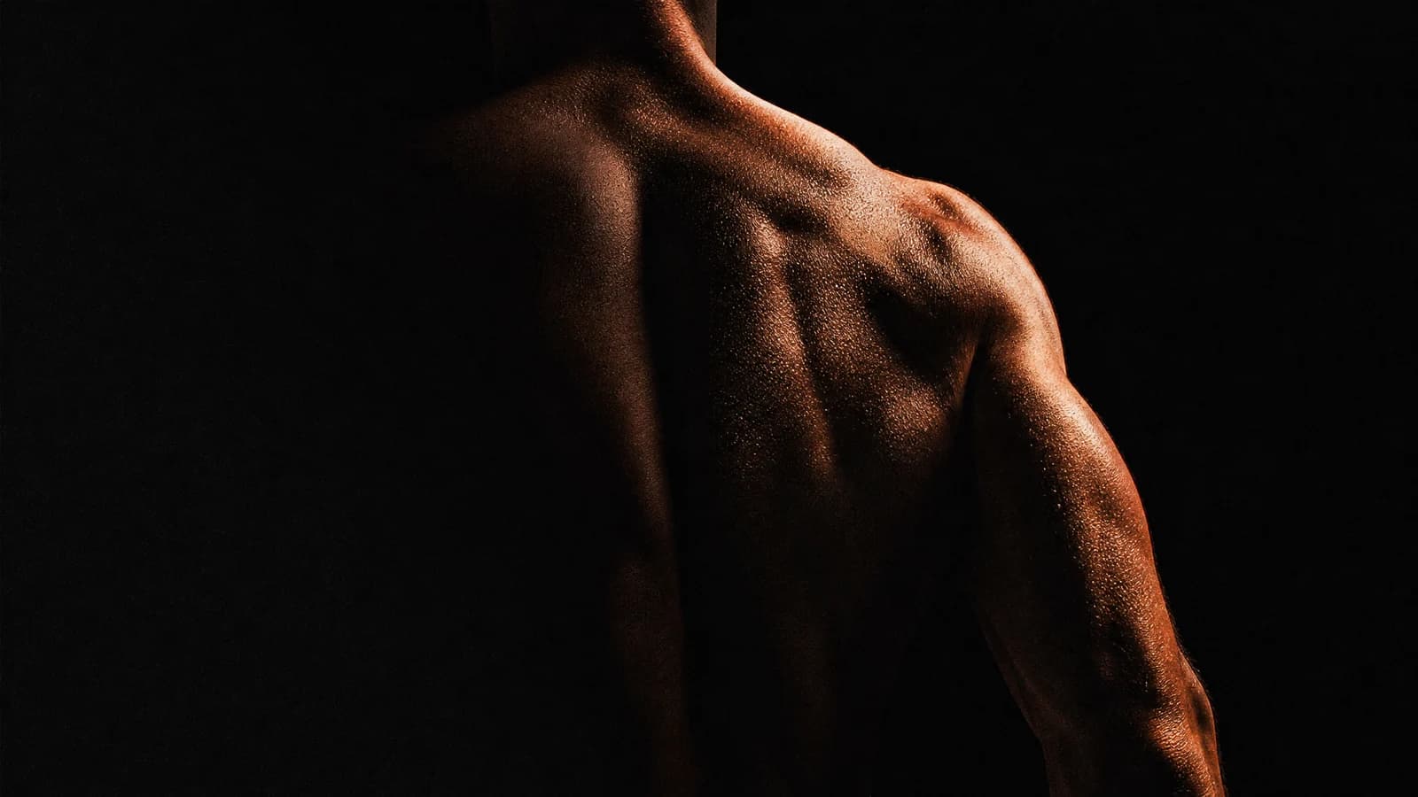 Muscular male back and shoulder, copper light